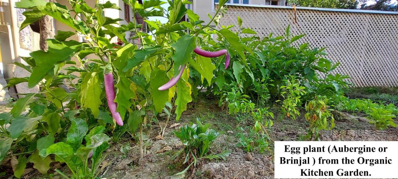 Ikraam Inn Bed & Breakfast ศรีนาการ์ ภายนอก รูปภาพ
